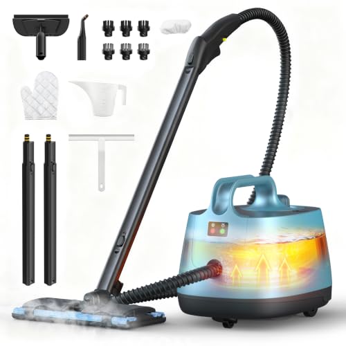 best high pressure steam cleaner for bed bugs