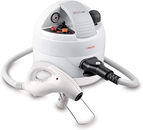 Best Dry Vapor Steamers for Bed Bugs