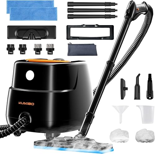 Best Steam Cleaners for Bed Bugs