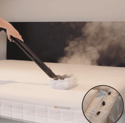 What Steam Cleaner To Use For Bed Bugs