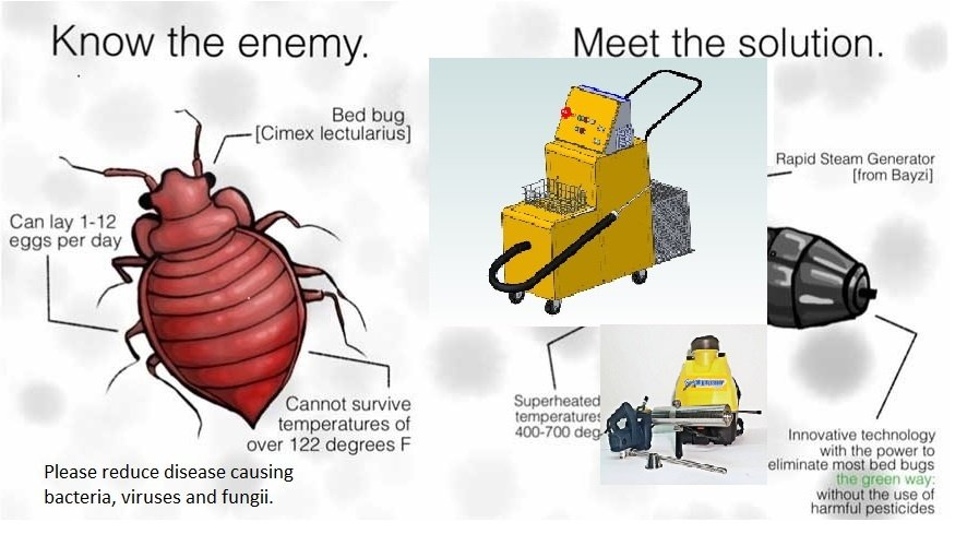 Will Steam Kill Bed Bugs