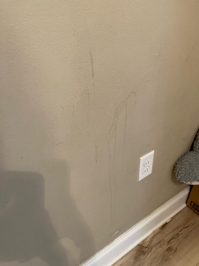 Can You Use Steam Cleaner On Walls